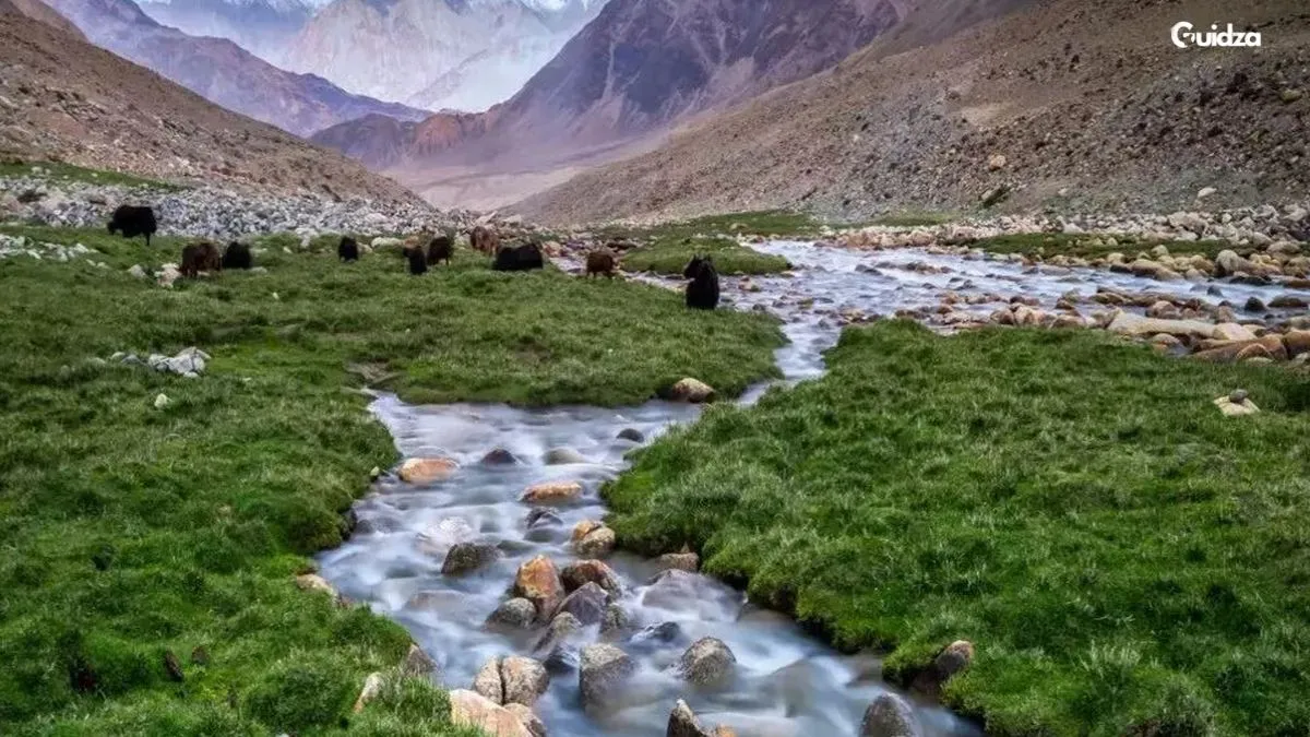 Leh to Nubra Valley